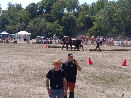 IMG_20260808_135850